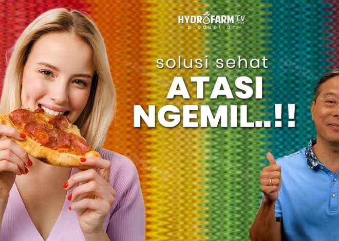 SOLUSI SEHAT Mengatasi Ngemil SNACK..!!