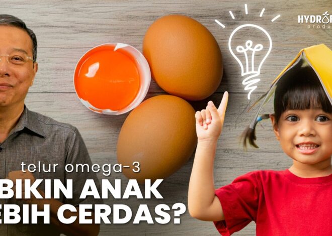 Telur Omega-3 Bikin Anak Lebih Cerdas..??