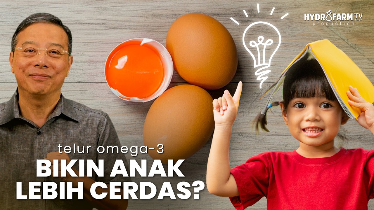 Telur Omega-3 Bikin Anak Lebih Cerdas..??