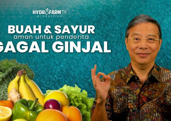 Penderita Ginjal Harus Tahu! Buah yang Aman untuk Ginjal..!!