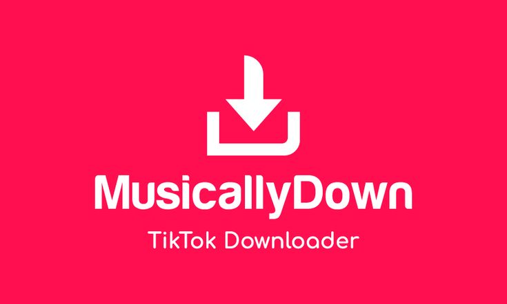 MusicallyDown Download Video dan MP3 TiKTok Tanpa Watermark