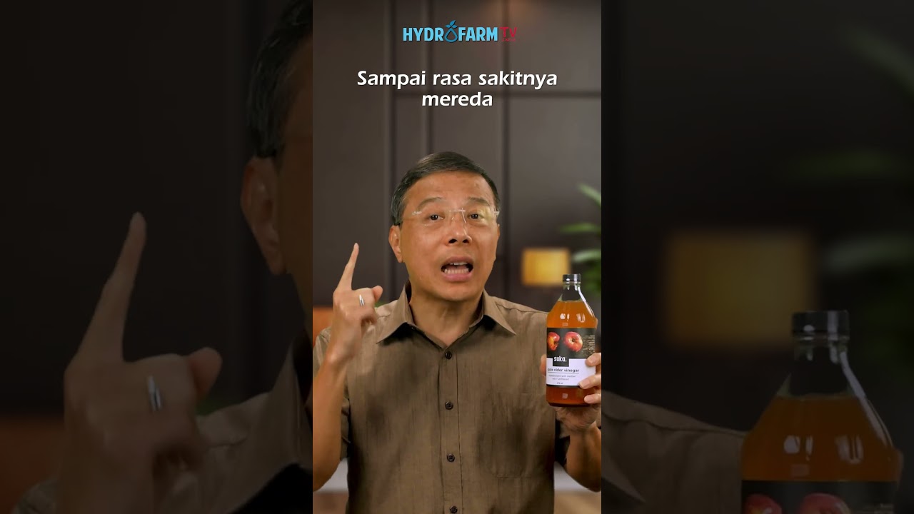 Youtube Thumbnail image of : Obat Alami BATU EMPEDU#makanan,#kesehatan,#kuliner,#asamlambungtinggi,#resep ,#kuliner,#asamlambung,