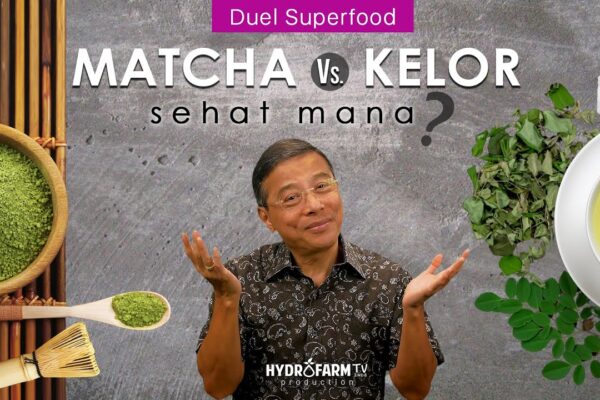 Youtube Thumnail image of : TEH MATCHA vs TEH KELOR, Sehat Mana..??