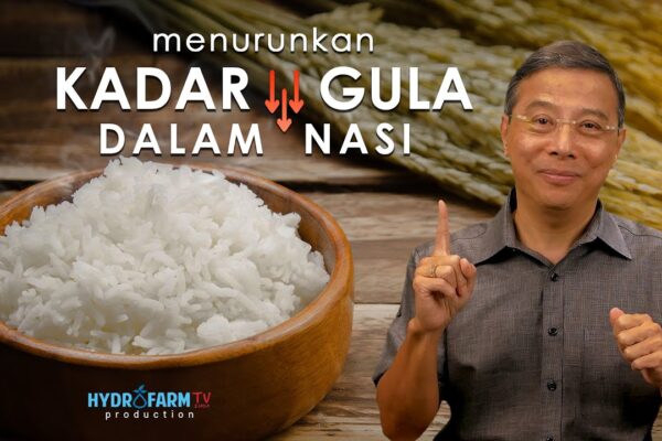 MENURUNKAN KADAR GULA DALAM NASI..!! Youtube Thumnail image of : MENURUNKAN KADAR GULA DALAM NASI..!!