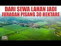 Dari Sewa Lahan Jadi Juragan Pisang 30 Hektar! Semakin Bagus Pisang, Semakin Mahal Youtube Thumbnail image of : Dari Sewa Lahan Jadi Juragan Pisang 30 Hektar! Semakin Bagus Pisang, Semakin Mahal