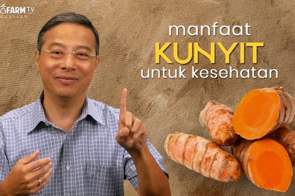 Youtube Thumbnail image of : Manfaat Kunyit Untuk Kesehatan (Part 1)