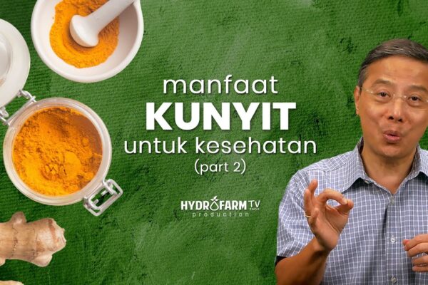 Youtube Thumbnail image of : Manfaat Kunyit Untuk Kesehatan..!! (Part 2)