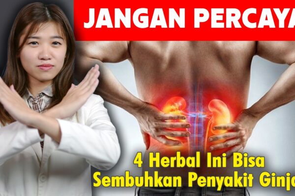 Youtube Thumbnail image of : JANGAN PERCAYA! 4 Herbal Ini Bisa Sembuhkan Penyakit Ginjal