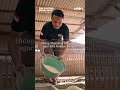 MODAL JUAL MOTOR SUKSES TERNAK ENTOK, PERPUTARAN UANG CAPAI 800 JUTA Youtube Thumbnail image of : MODAL JUAL MOTOR SUKSES TERNAK ENTOK, PERPUTARAN UANG CAPAI 800 JUTA