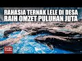 Youtube Thumbnail image of : Budidaya Lele Sekali Panen Profit 15 Juta, Panen 2 Bulan Sekali di 5 Kolam Tanah!