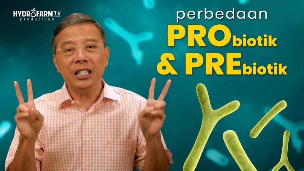 Youtube Thumbnail image of : Perbadaan PROBIOTIK & PREBIOTIK..!!#antioksidanalami #vitaminc #gayahidupsehat #infokesehatanidn