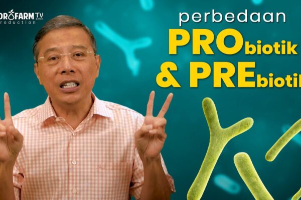 Youtube Thumbnail image of : Perbadaan PROBIOTIK & PREBIOTIK..!!#antioksidanalami #vitaminc #gayahidupsehat #infokesehatanidn