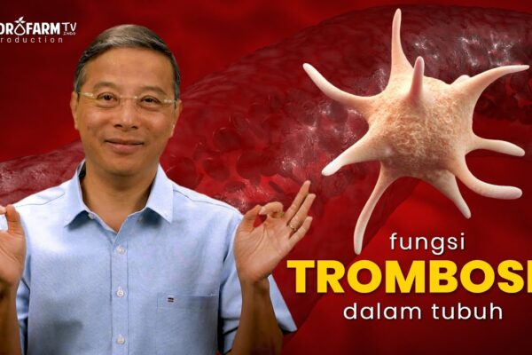 Youtube Thumbnail image of : Fungsi TROMBOSIT dalam tubuh! @GueSehat @TrueSehat @HobbyMakan@resepkesehatan @HIDUP